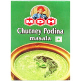 MDH Chutney Podina Masala 100gm