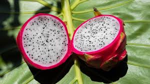 Fresh Dragon Fruit (Each)