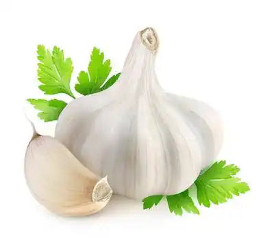 ZabhiaNow garlic sleeve for storing garlic bulbs, made of breathable fabric, with a drawstring closure for freshness and easy access.