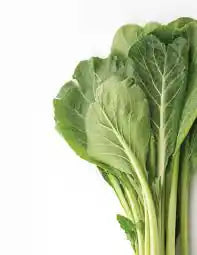 Fresh mustard green leaves from ZabhiaNow, vibrant and leafy, ideal for salads and cooking.
