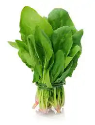Fresh green spinach bunch from ZabhiaNow, showcasing vibrant, leafy palak ready for cooking or salads.