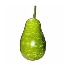 Fresh Bengali squash from ZabhiaNow, showing vibrant green, round shape, and smooth skin on a clean background.