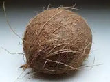 Fresh whole coconut with brown husk from ZabhiaNow, showcasing its natural exterior and textured surface.