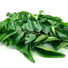 Fresh curry leaves from ZabhiaNow, showing vibrant green leaves in a close-up shot on a white background.