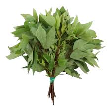 Fresh Gongura leaves from ZabhiaNow, showcasing vibrant green, tender leaves in a natural close-up image.