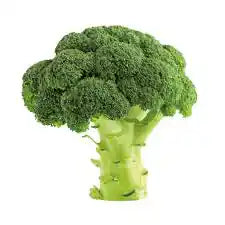 Fresh green broccoli florets from ZabhiaNow, showcasing their vibrant color and crisp texture in a close-up image.