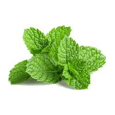 Fresh mint leaves from ZabhiaNow, vibrant green herbs with textured leaves, perfect for culinary and herbal uses.