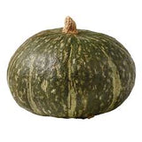 Fresh round squash from ZabhiaNow, showcasing a vibrant green vegetable with smooth skin and a round shape.