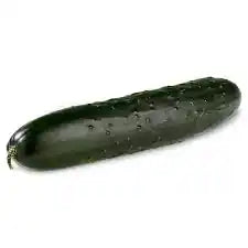 Fresh ZabhiaNow cucumber with vibrant green skin, showcasing its crisp, firm texture ideal for salads and healthy snacks.