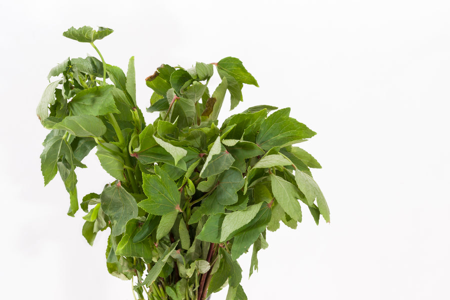 GONGURA