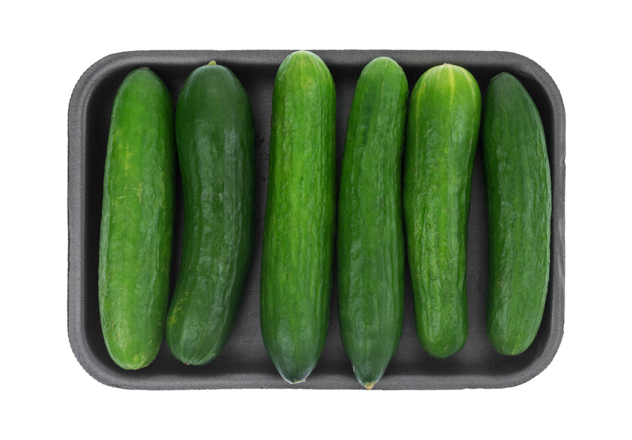Mini Cucumber pack of 6