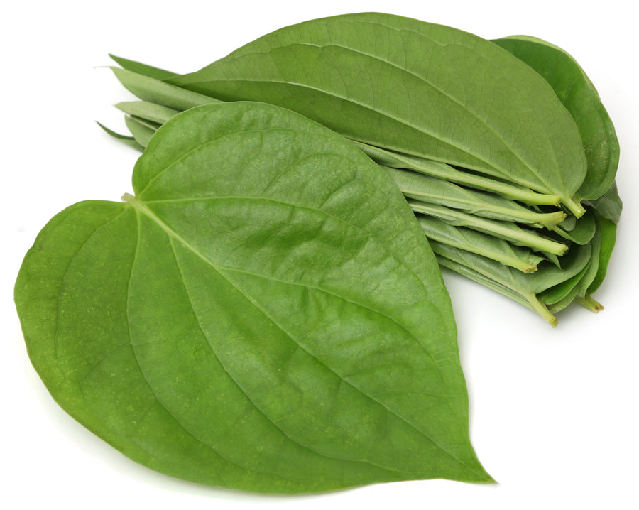 PAAN LEAVES 5PCS