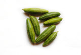 TINDORA