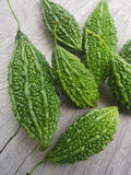 KARELA