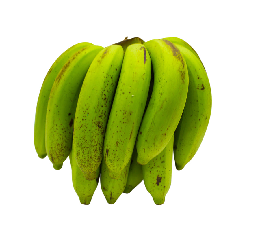 BURRO BANANA GREEN