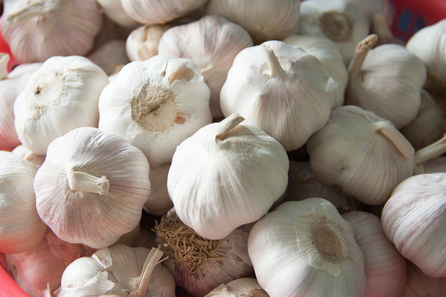 GARLIC LOOSE