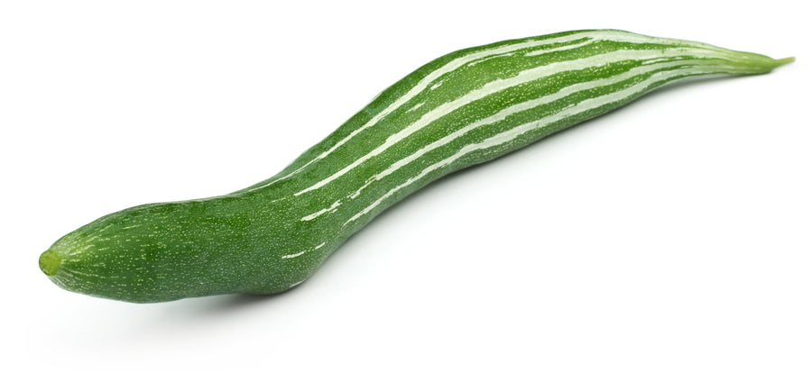 SNAKE GOURD