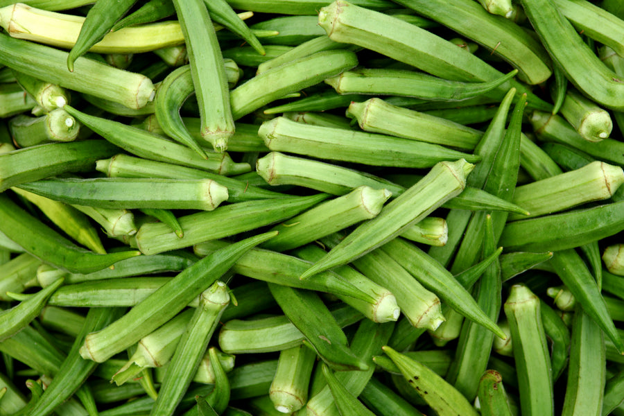 INDIAN OKRA