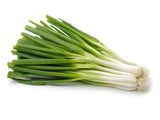 Green onion scallion
