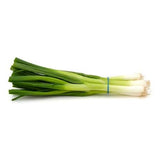 Green onion scallion