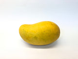 Fresh Watermelon (Each) - Buy Fresh Online